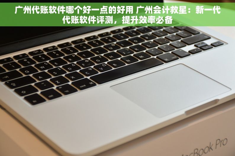广州代账软件哪个好一点的好用 广州会计救星：新一代代账软件评测，提升效率必备