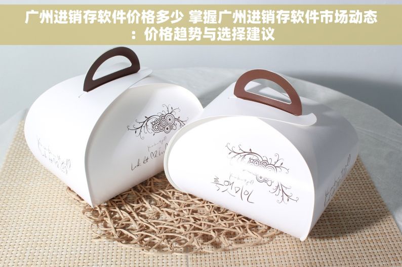 广州进销存软件价格多少 掌握广州进销存软件市场动态：价格趋势与选择建议