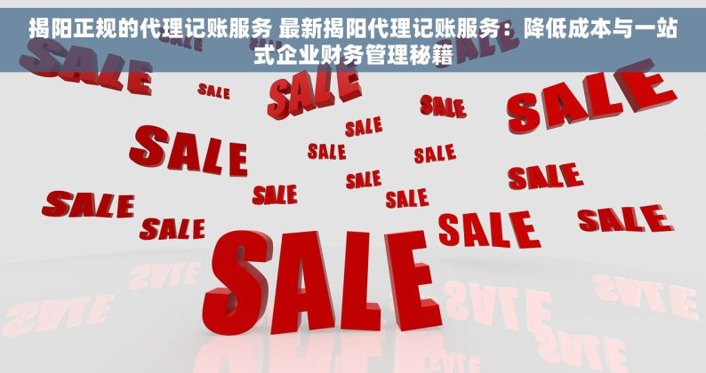 揭阳正规的代理记账服务 最新揭阳代理记账服务：降低成本与一站式企业财务管理秘籍