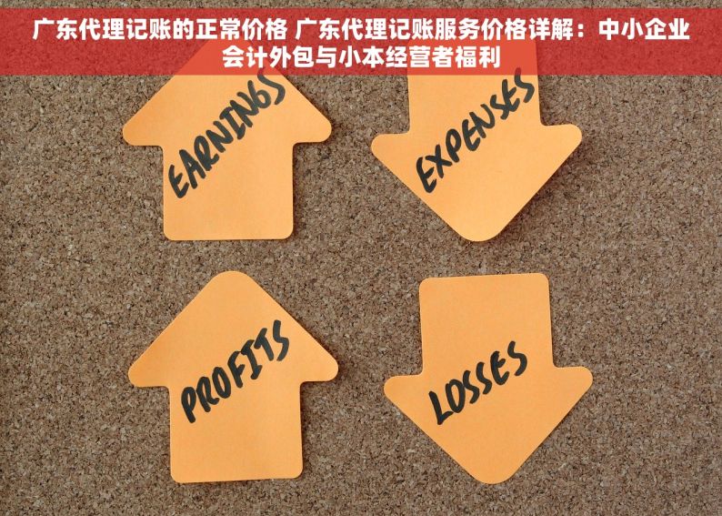 广东代理记账的正常价格 广东代理记账服务价格详解：中小企业会计外包与小本经营者福利