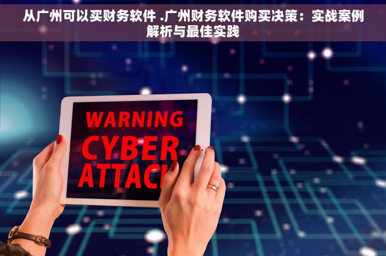 从广州可以买财务软件 .广州财务软件购买决策：实战案例解析与最佳实践