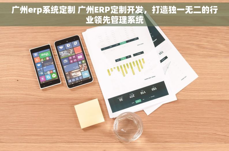 广州erp系统定制 广州ERP定制开发，打造独一无二的行业领先管理系统