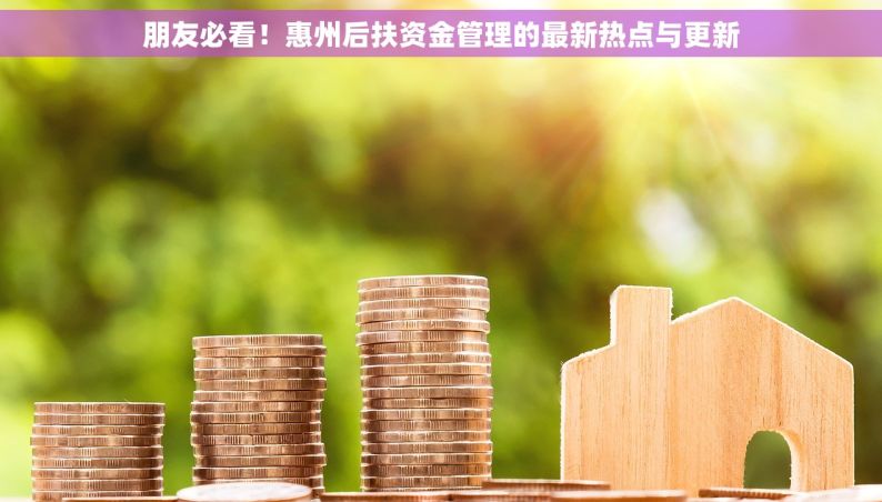 朋友必看！惠州后扶资金管理的最新热点与更新