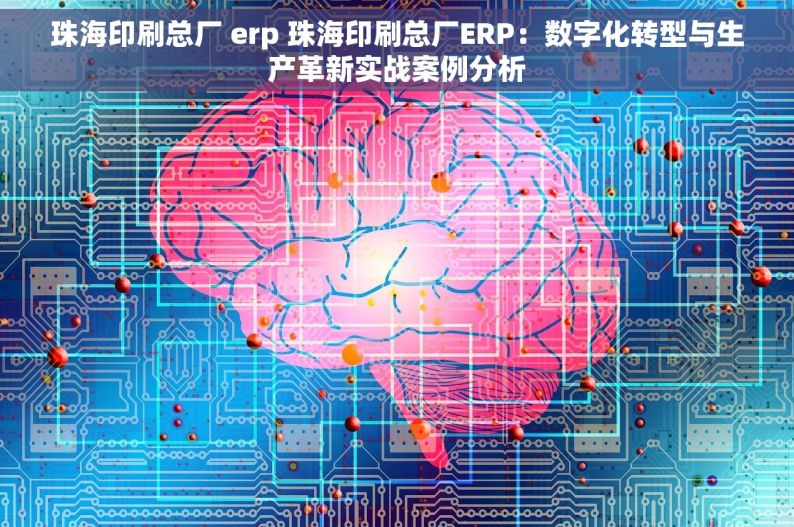 珠海印刷总厂 erp 珠海印刷总厂ERP：数字化转型与生产革新实战案例分析