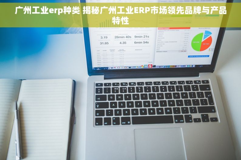 广州工业erp种类 揭秘广州工业ERP市场领先品牌与产品特性