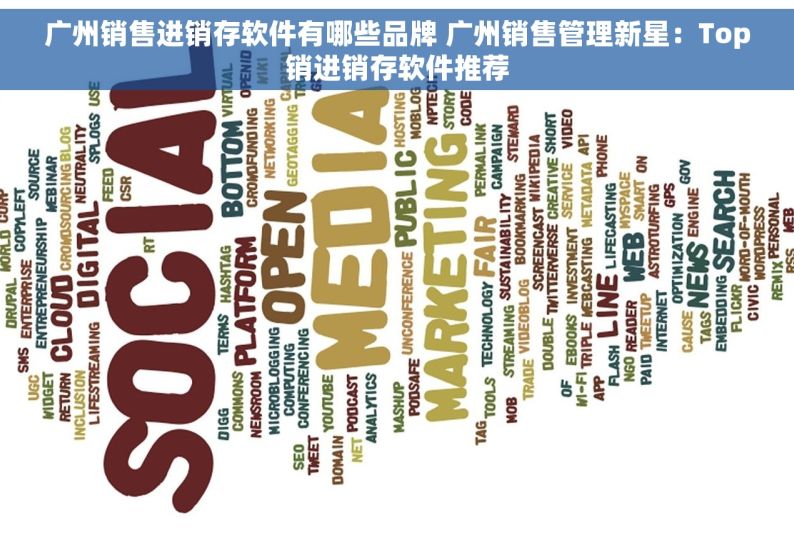 广州销售进销存软件有哪些品牌 广州销售管理新星：Top销进销存软件推荐