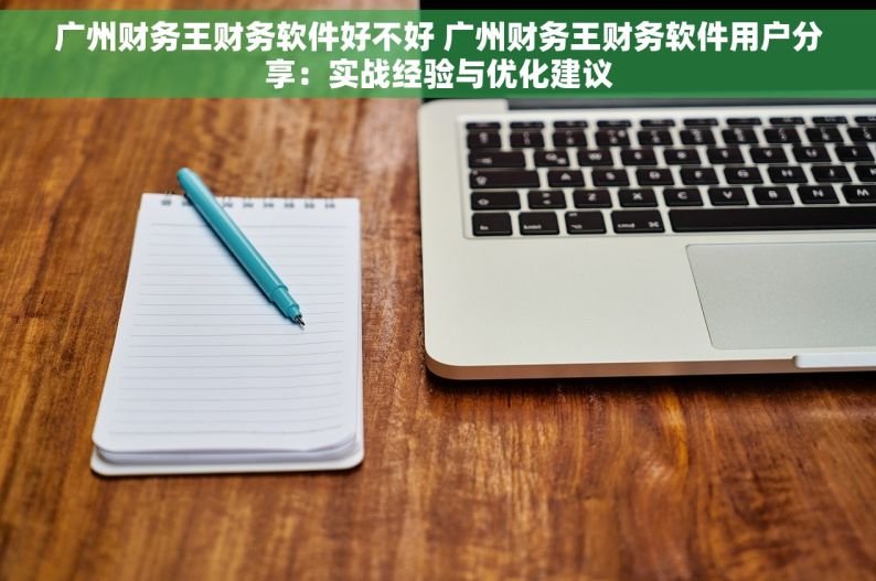 广州财务王财务软件好不好 广州财务王财务软件用户分享：实战经验与优化建议