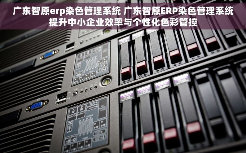 广东智原erp染色管理系统 广东智原ERP染色管理系统提升中小企业效率与个性化色彩管控