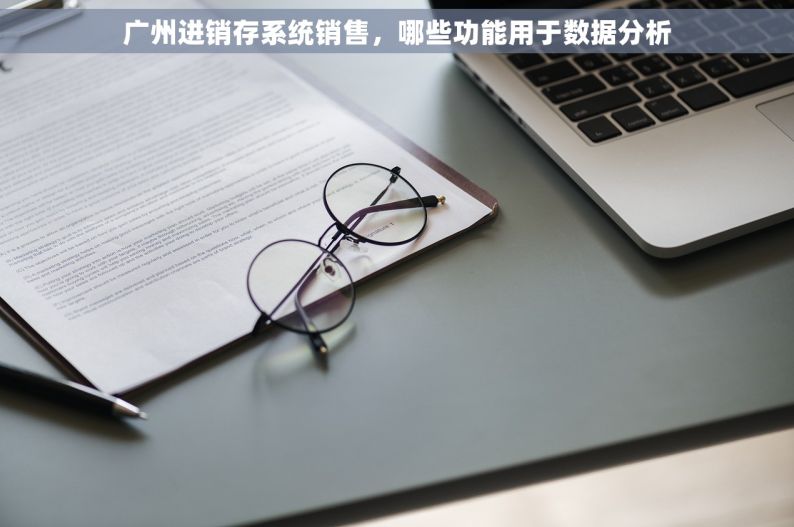广州进销存系统销售，哪些功能用于数据分析