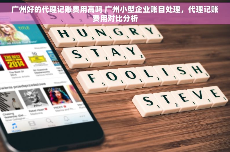 广州好的代理记账费用高吗 广州小型企业账目处理，代理记账费用对比分析