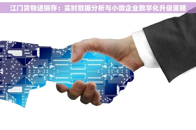 江门货物进销存：实时数据分析与小微企业数字化升级策略