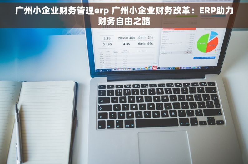 广州小企业财务管理erp 广州小企业财务改革：ERP助力财务自由之路