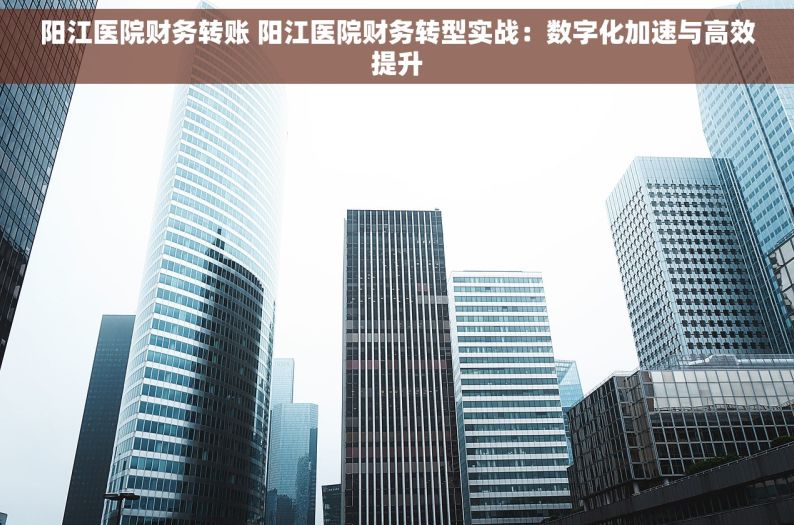 阳江医院财务转账 阳江医院财务转型实战：数字化加速与高效提升