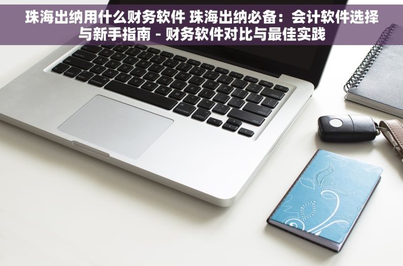 珠海出纳用什么财务软件 珠海出纳必备：会计软件选择与新手指南 - 财务软件对比与最佳实践