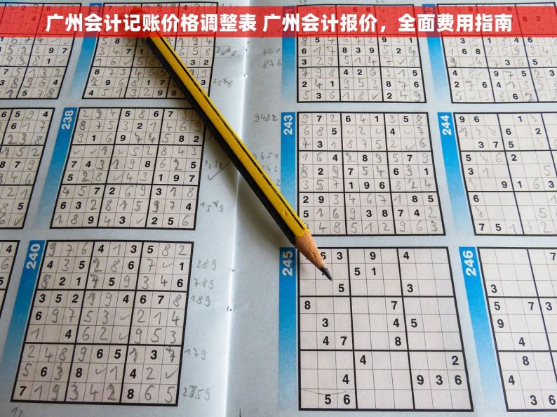 广州会计记账价格调整表 广州会计报价，全面费用指南