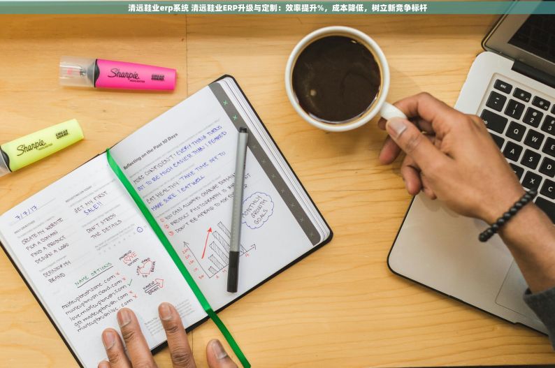 清远鞋业erp系统 清远鞋业ERP升级与定制：效率提升%，成本降低，树立新竞争标杆
