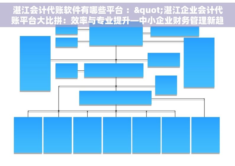 湛江会计代账软件有哪些平台 ："湛江企业会计代账平台大比拼：效率与专业提升—中小企业财务管理新趋势" 