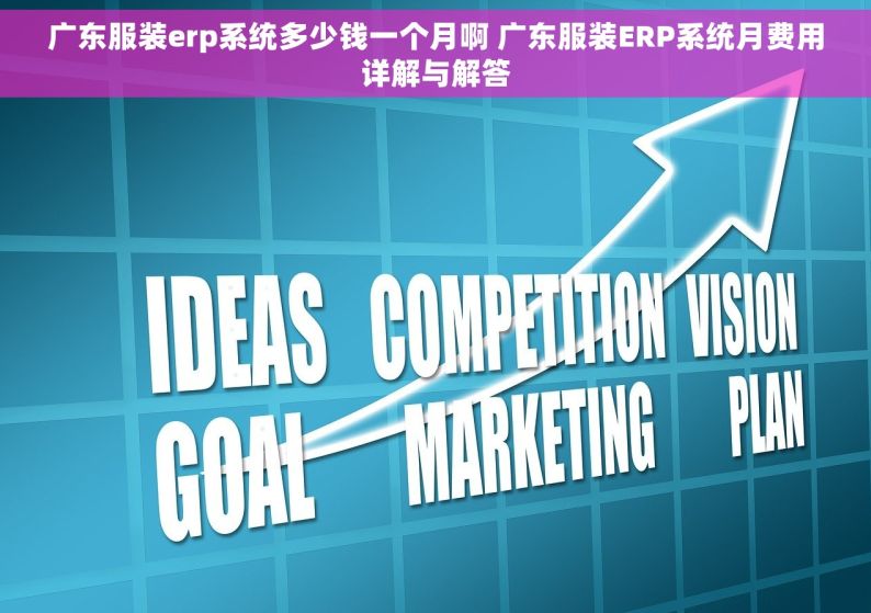 广东服装erp系统多少钱一个月啊 广东服装ERP系统月费用详解与解答