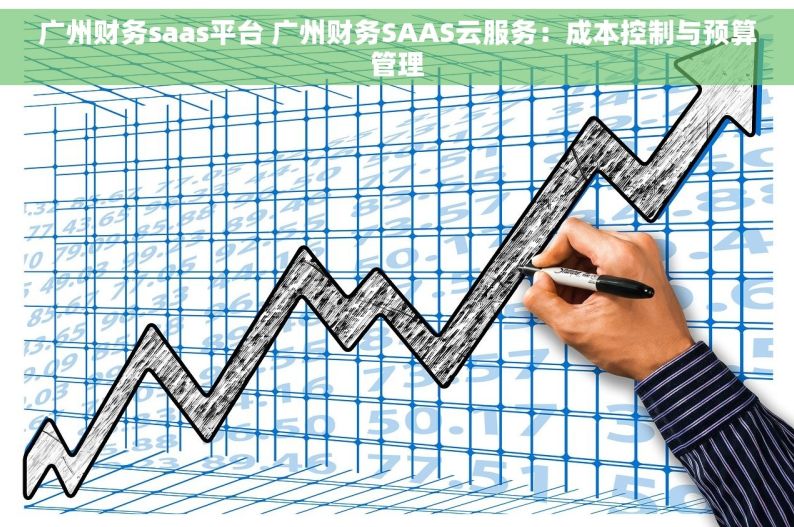 广州财务saas平台 广州财务SAAS云服务：成本控制与预算管理