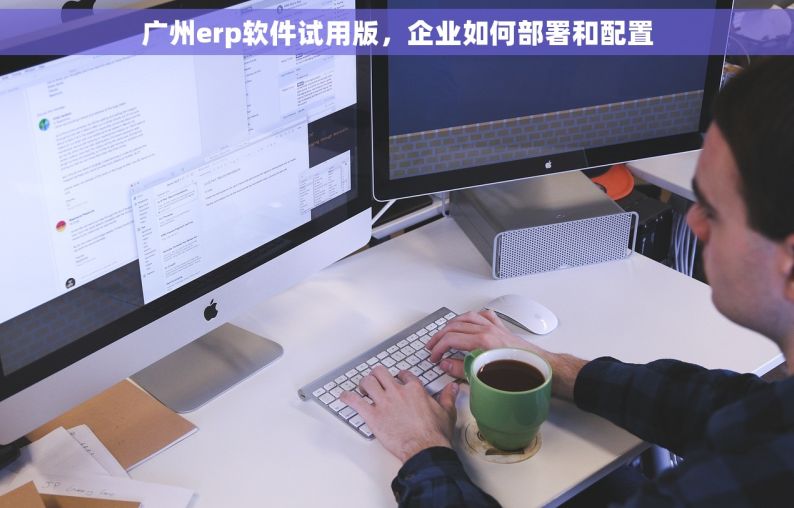 广州erp软件试用版，企业如何部署和配置