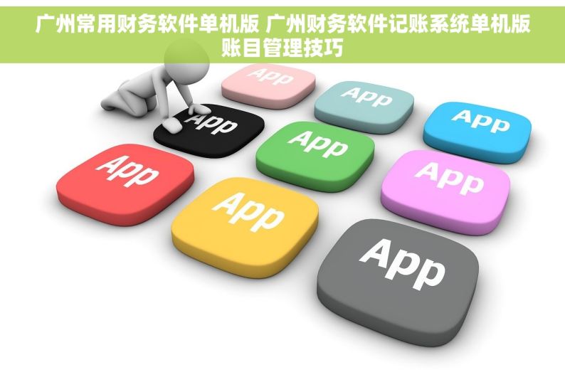 广州常用财务软件单机版 广州财务软件记账系统单机版账目管理技巧