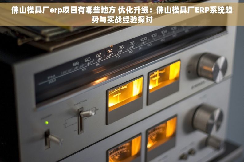 佛山模具厂erp项目有哪些地方 优化升级：佛山模具厂ERP系统趋势与实战经验探讨