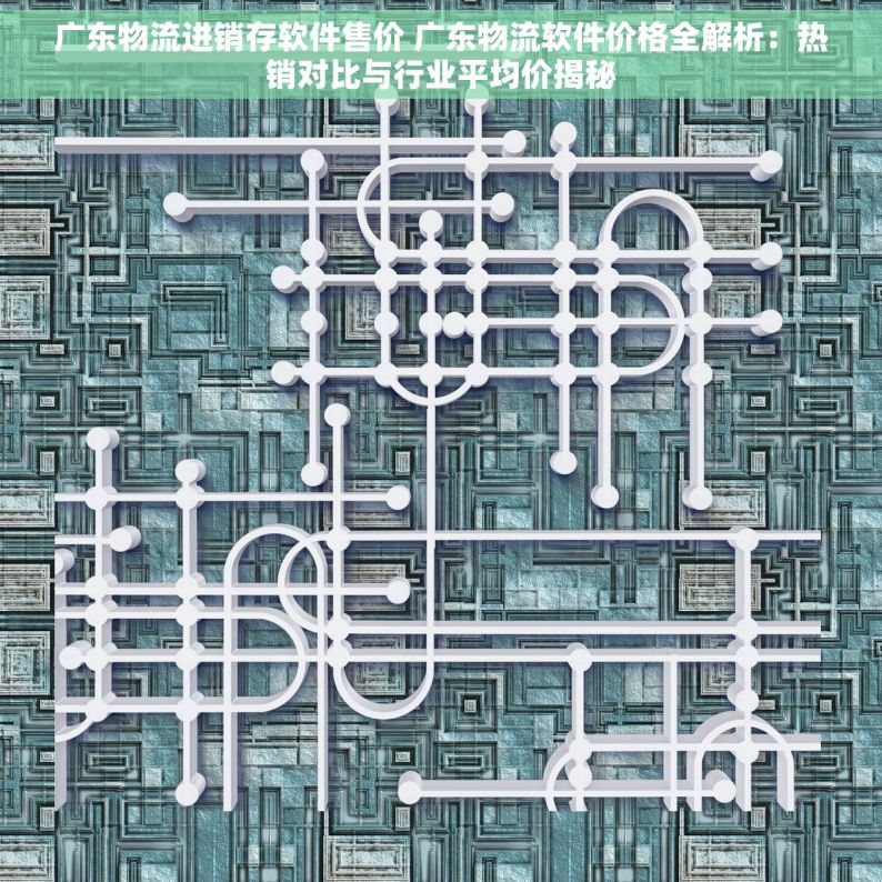 广东物流进销存软件售价 广东物流软件价格全解析：热销对比与行业平均价揭秘
