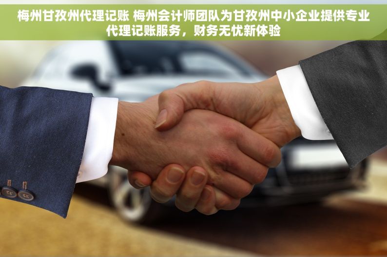 梅州甘孜州代理记账 梅州会计师团队为甘孜州中小企业提供专业代理记账服务，财务无忧新体验