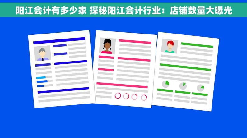阳江会计有多少家 探秘阳江会计行业：店铺数量大曝光