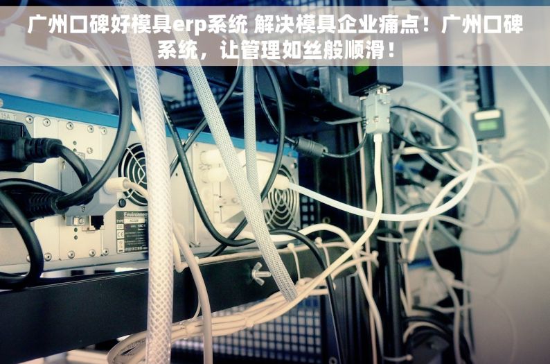 广州口碑好模具erp系统 解决模具企业痛点！广州口碑系统，让管理如丝般顺滑！
