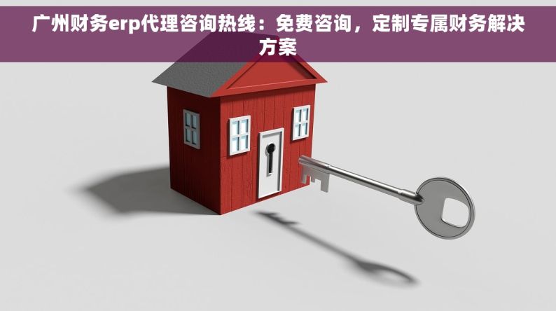广州财务erp代理咨询热线：免费咨询，定制专属财务解决方案