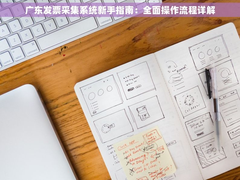 广东发票采集系统新手指南：全面操作流程详解
