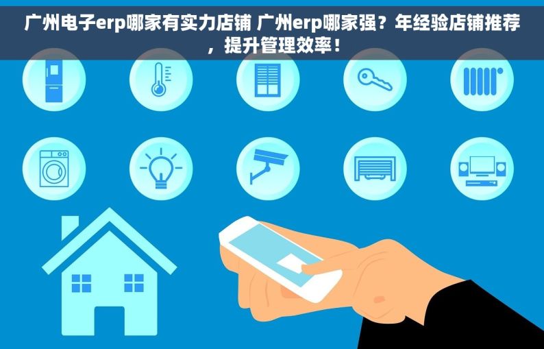 广州电子erp哪家有实力店铺 广州erp哪家强？年经验店铺推荐，提升管理效率！