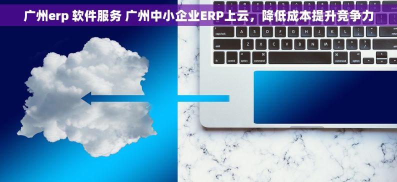 广州erp 软件服务 广州中小企业ERP上云，降低成本提升竞争力