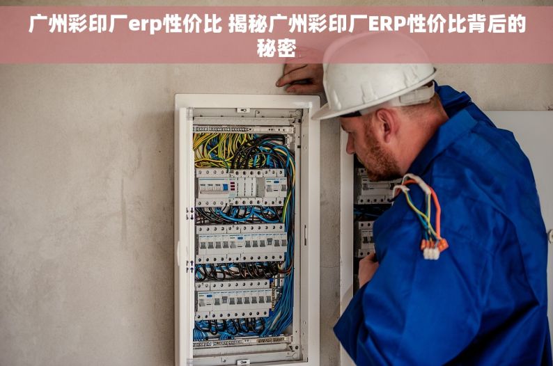 广州彩印厂erp性价比 揭秘广州彩印厂ERP性价比背后的秘密