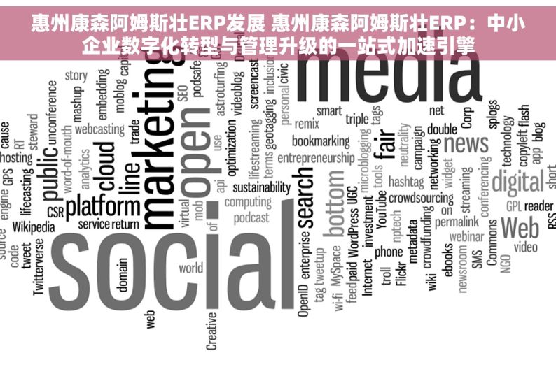 惠州康森阿姆斯壮ERP发展 惠州康森阿姆斯壮ERP：中小企业数字化转型与管理升级的一站式加速引擎