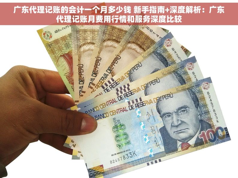 广东代理记账的会计一个月多少钱 新手指南+深度解析：广东代理记账月费用行情和服务深度比较
