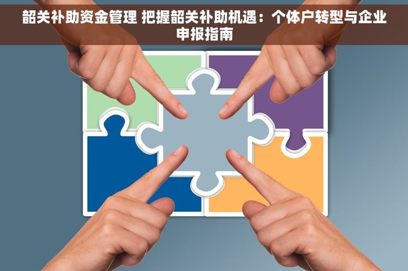 韶关补助资金管理 把握韶关补助机遇：个体户转型与企业申报指南