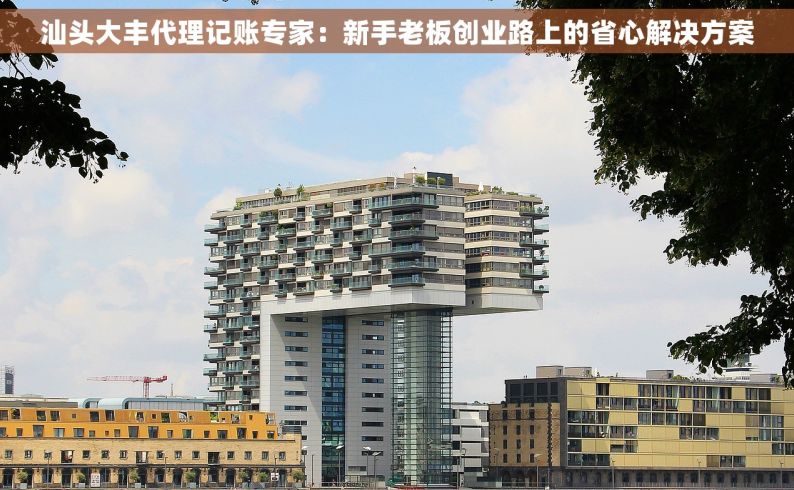 汕头大丰代理记账专家：新手老板创业路上的省心解决方案