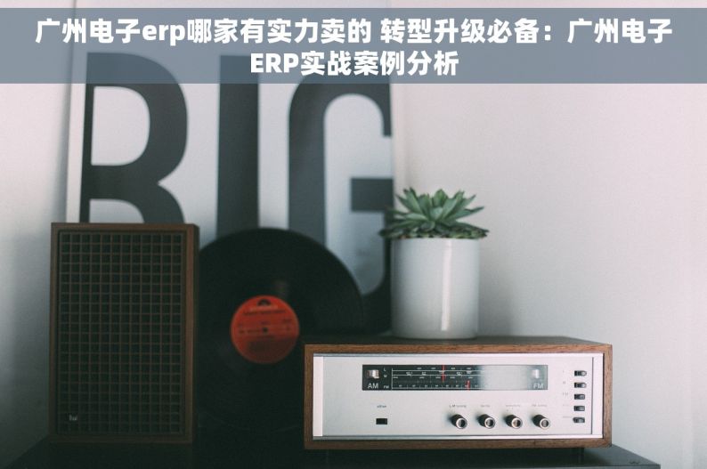 广州电子erp哪家有实力卖的 转型升级必备：广州电子ERP实战案例分析