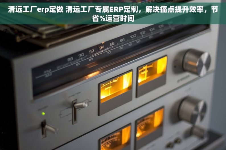 清远工厂erp定做 清远工厂专属ERP定制，解决痛点提升效率，节省%运营时间