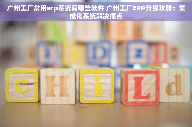 广州工厂常用erp系统有哪些软件 广州工厂ERP升级攻略：集成化系统解决痛点