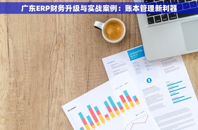 广东ERP财务升级与实战案例：账本管理新利器