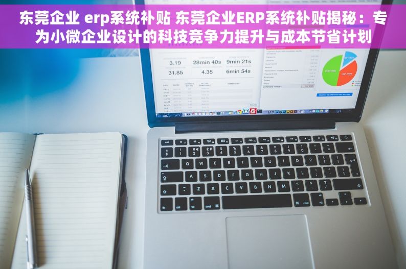 东莞企业 erp系统补贴 东莞企业ERP系统补贴揭秘：专为小微企业设计的科技竞争力提升与成本节省计划