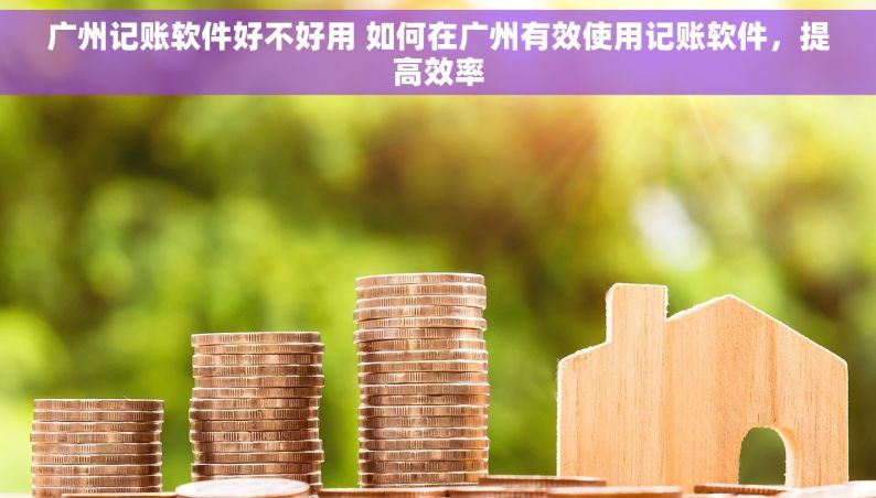 广州记账软件好不好用 如何在广州有效使用记账软件，提高效率