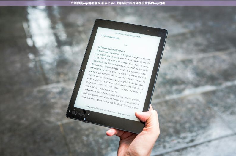广州物流erp价格查询 新手上手：如何在广州找到性价比高的erp价格