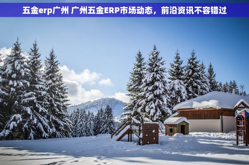 五金erp广州 广州五金ERP市场动态，前沿资讯不容错过