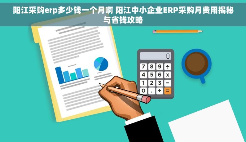 阳江采购erp多少钱一个月啊 阳江中小企业ERP采购月费用揭秘与省钱攻略