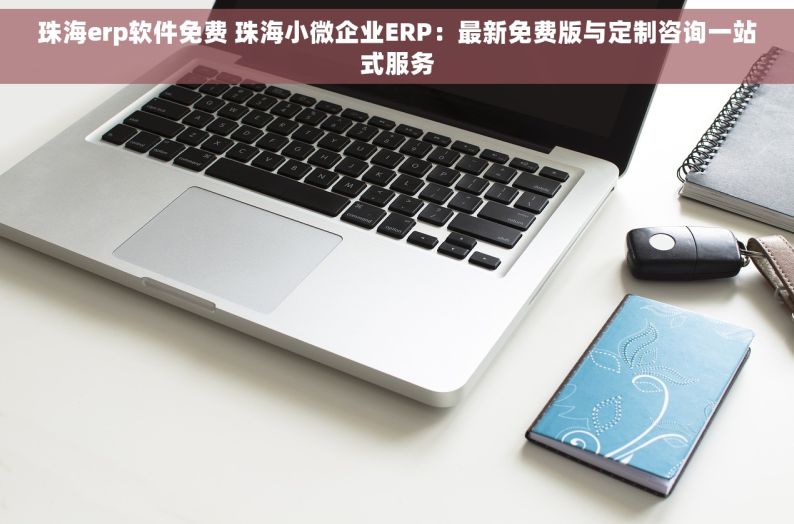 珠海erp软件免费 珠海小微企业ERP：最新免费版与定制咨询一站式服务