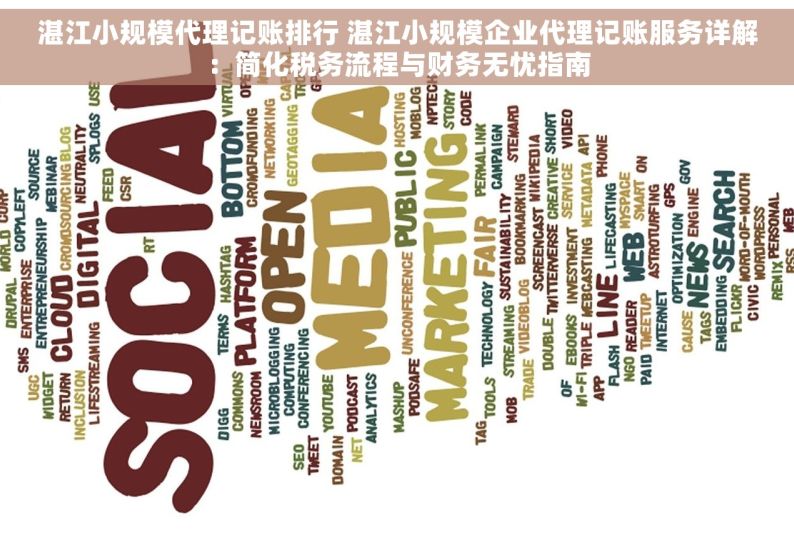 湛江小规模代理记账排行 湛江小规模企业代理记账服务详解：简化税务流程与财务无忧指南